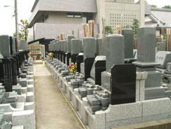 東京都杉並区 医王山東円寺